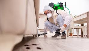 Best Indoor Pest Control  in Cedaredge, CO